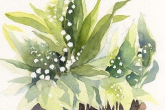 muguet